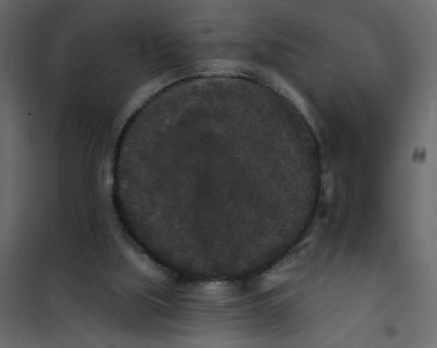 X0000102000059200808081710