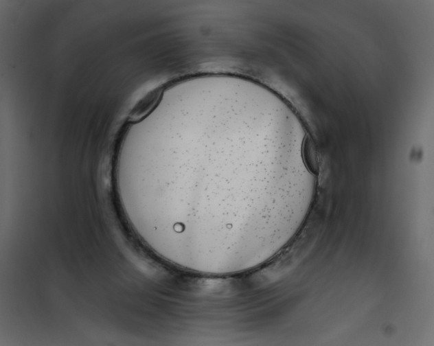 X0000102000060200808081710