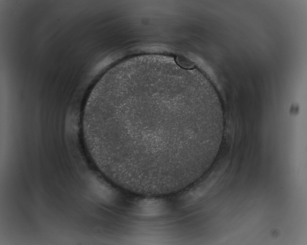 X0000102000063200808081710