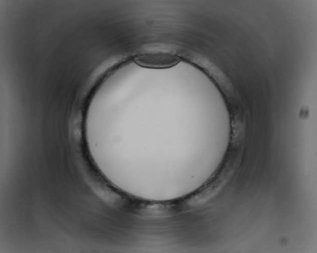 X0000102000064200808081710