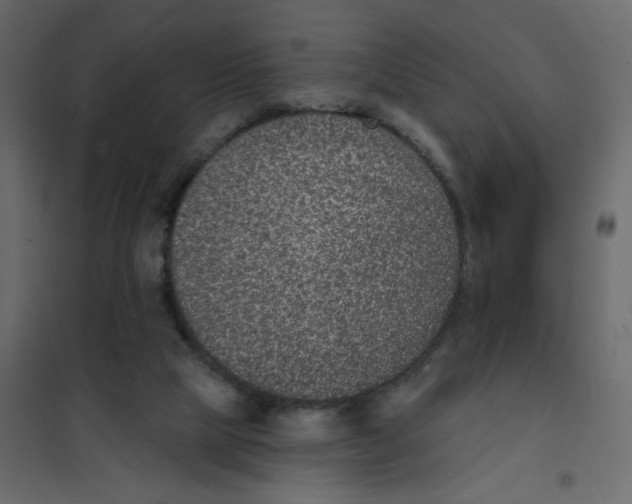 X0000102000065200808081710