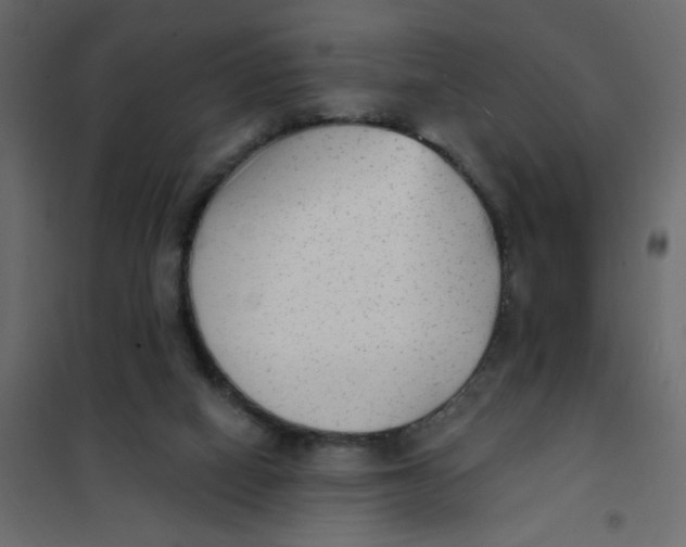 X0000102000066200808081710