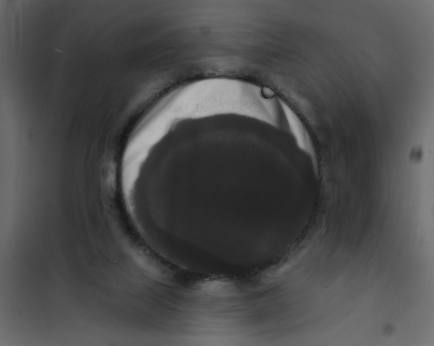 X0000102000067200808081710