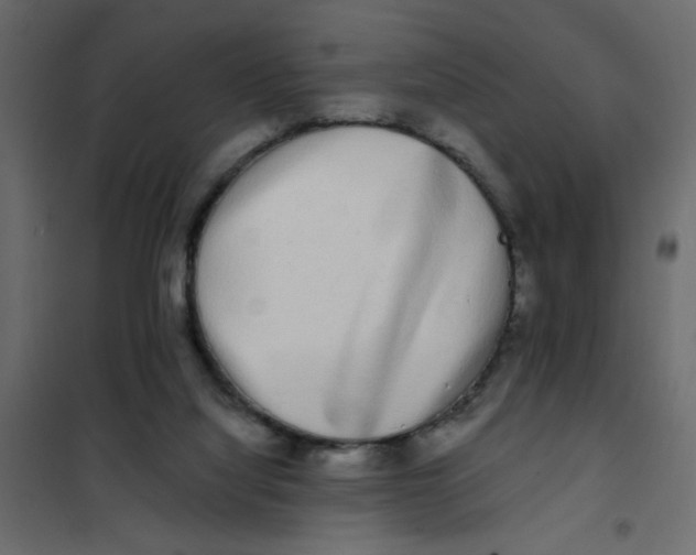 X0000102000068200808081710