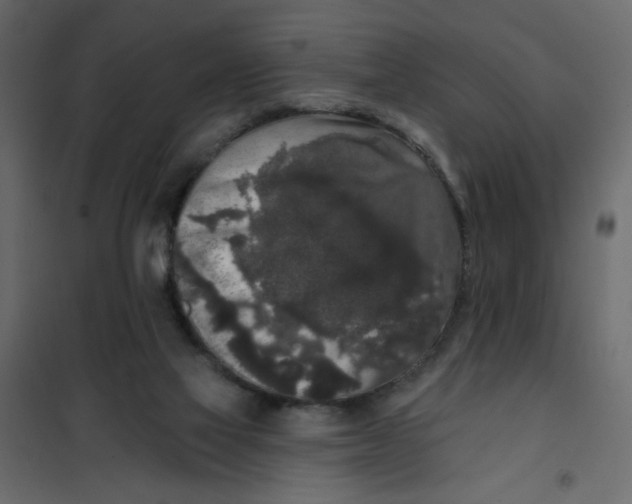 X0000102000069200808081710