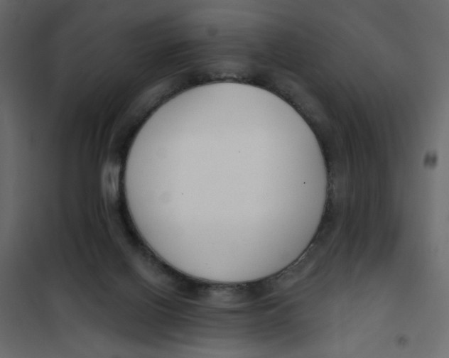 X0000102000070200808081710