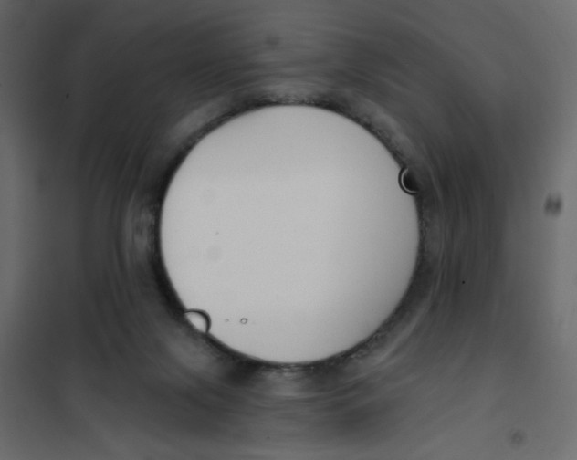 X0000102000071200808081710