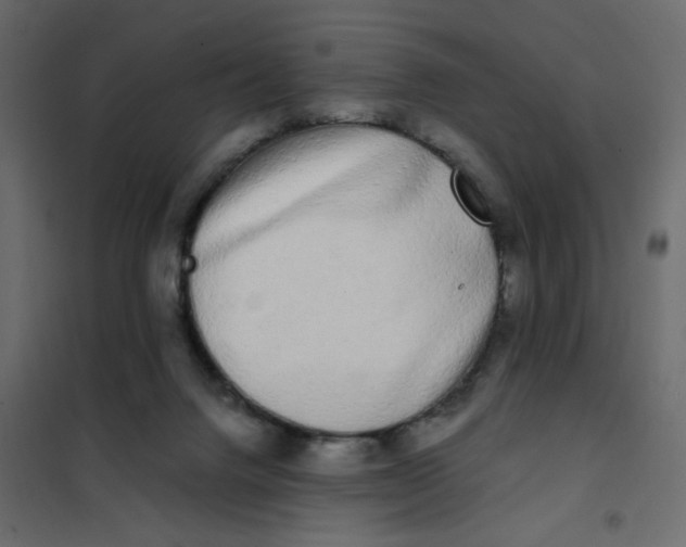 X0000102000072200808081710