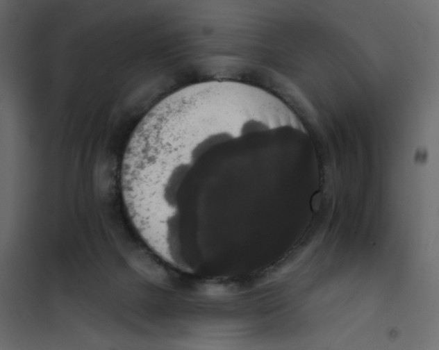 X0000102000073200808081710