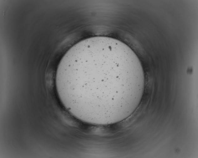 X0000102000074200808081710