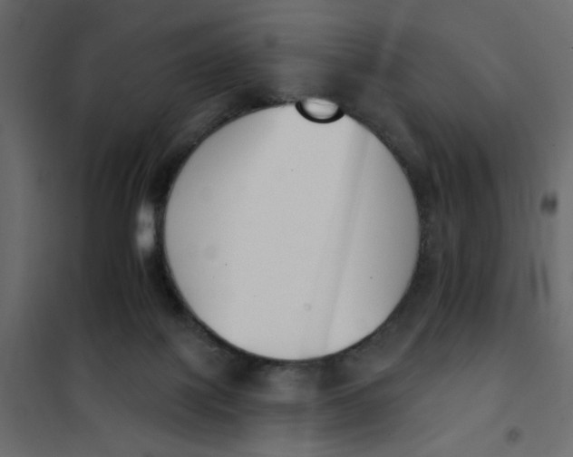 X0000102000075200808081710