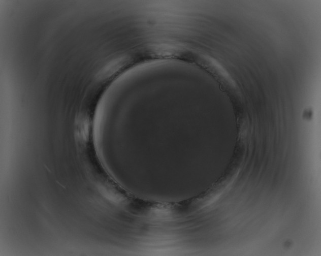 X0000102000076200808081710