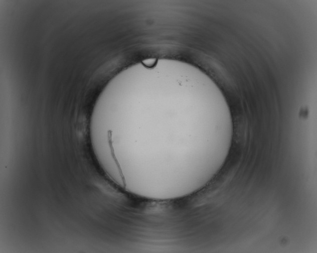 X0000102000077200808081710