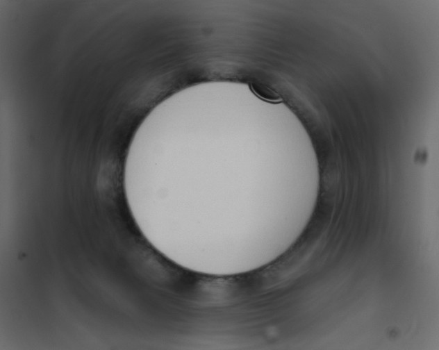 X0000102000079200808081710