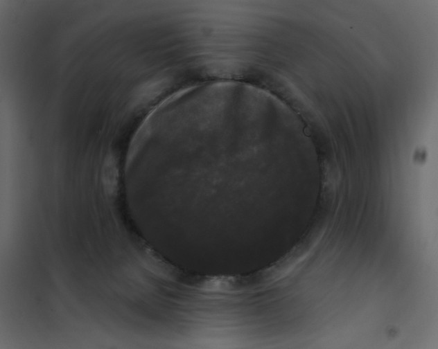 X0000102000080200808081710