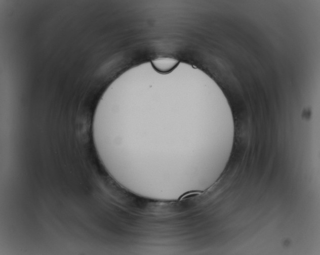 X0000102000082200808081710