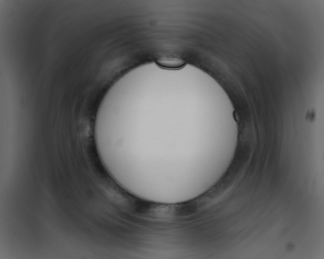 X0000102000084200808081710