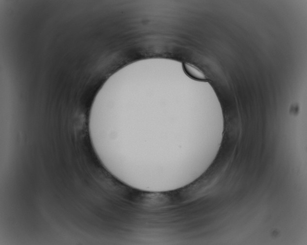 X0000102000087200808081710