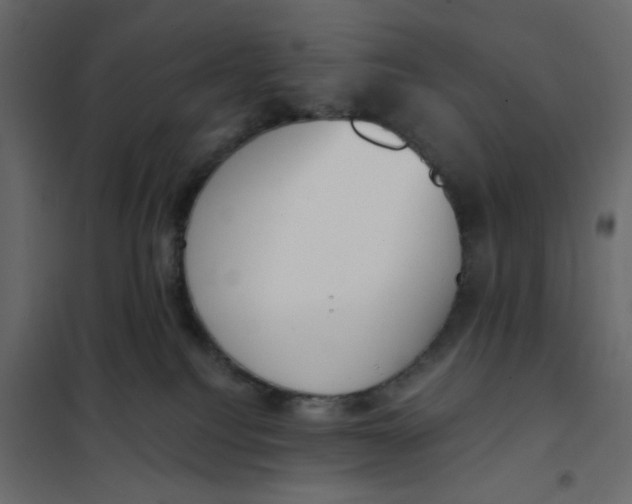 X0000102000088200808081710