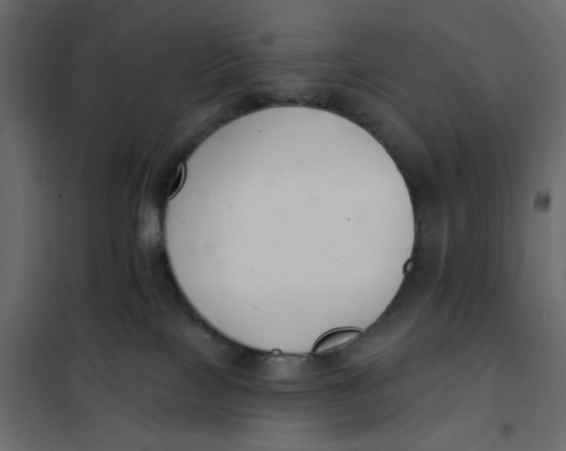 X0000102000089200808081710