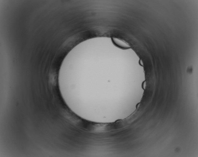 X0000102000090200808081710