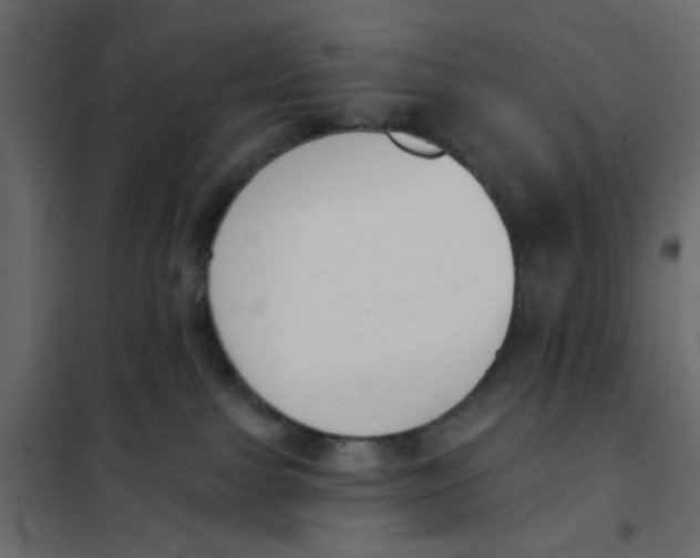 X0000102000091200808081710