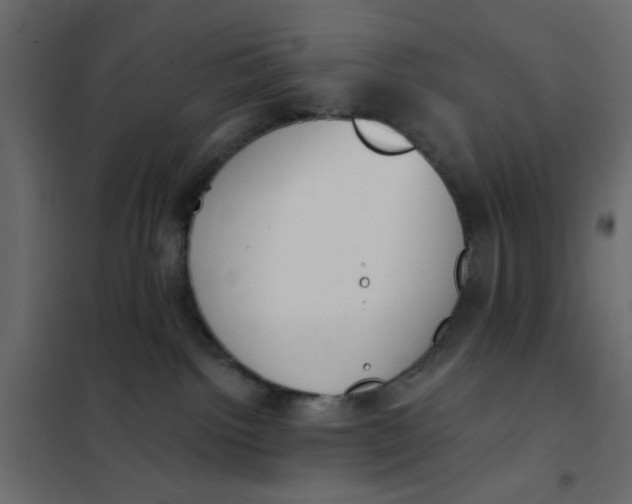 X0000102000092200808081711