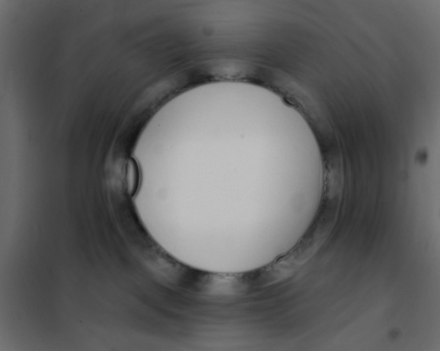 X0000102000093200808081711