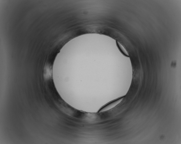 X0000102000095200808081711