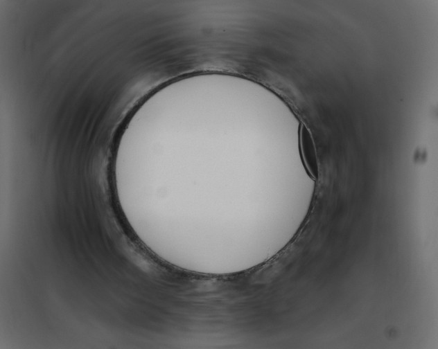 X0000102000098200808081710