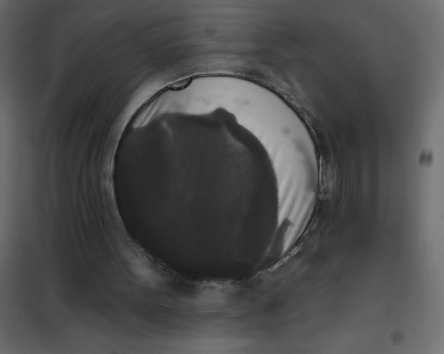 X0000102000099200808081710