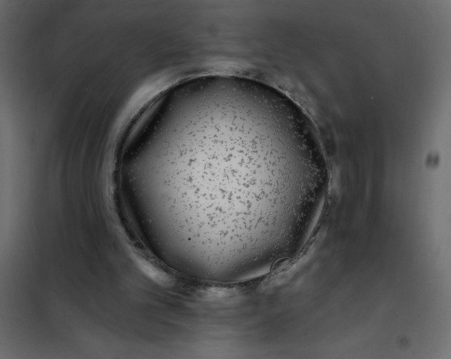 X0000102000101200808081710