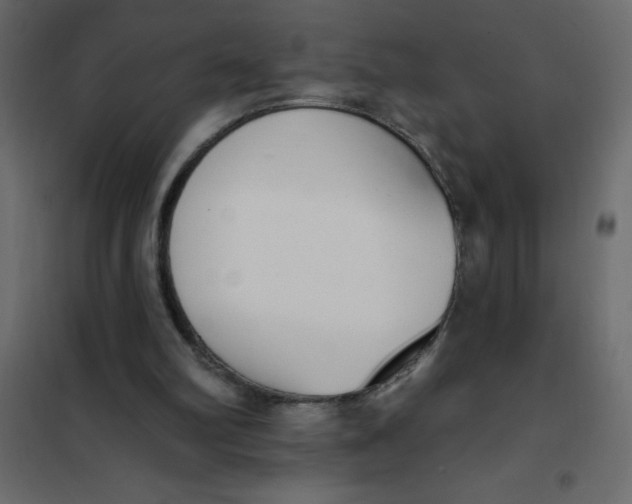 X0000102000102200808081710