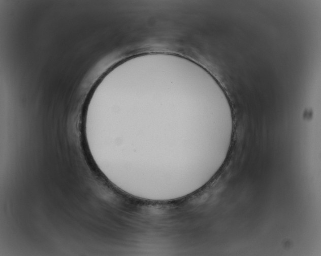 X0000102000103200808081710