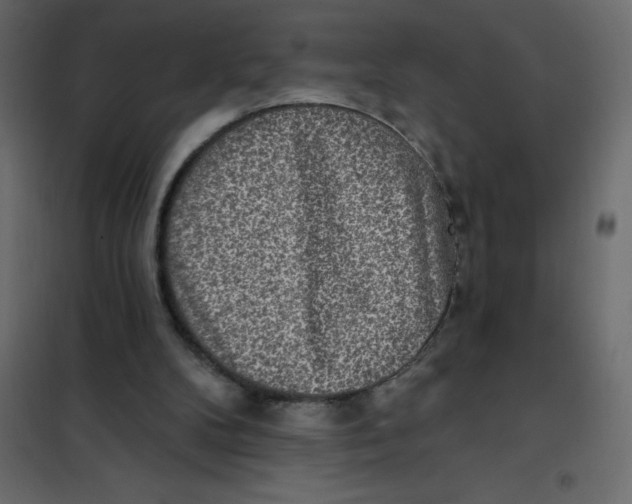 X0000102000104200808081710