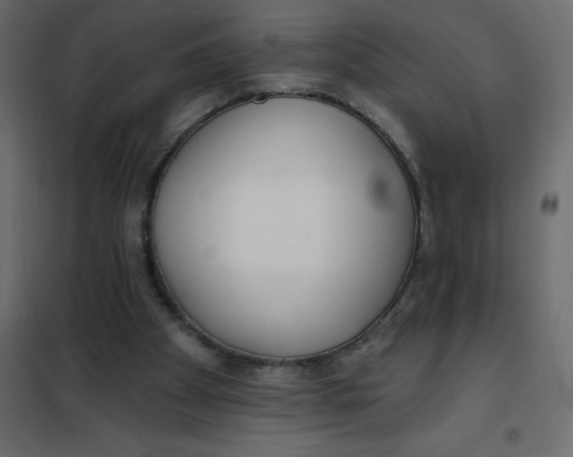 X0000102000105200808081710