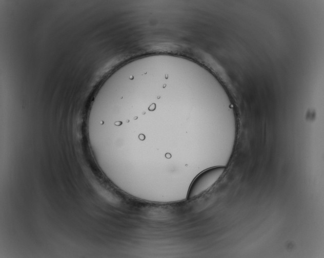 X0000102000106200808081710