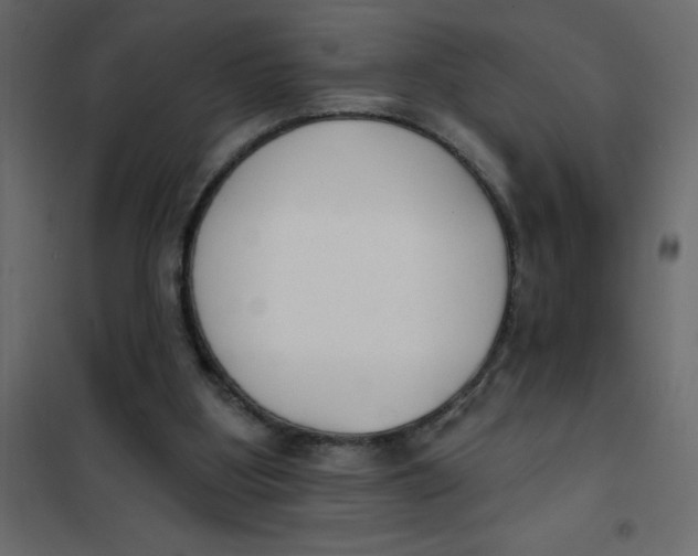 X0000102000107200808081710