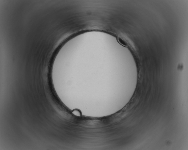 X0000102000108200808081709