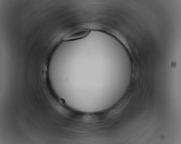 X0000102000109200808081709