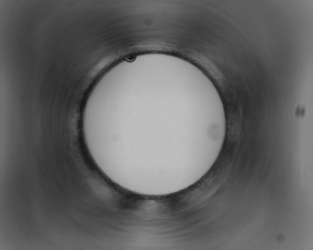 X0000102000111200808081709