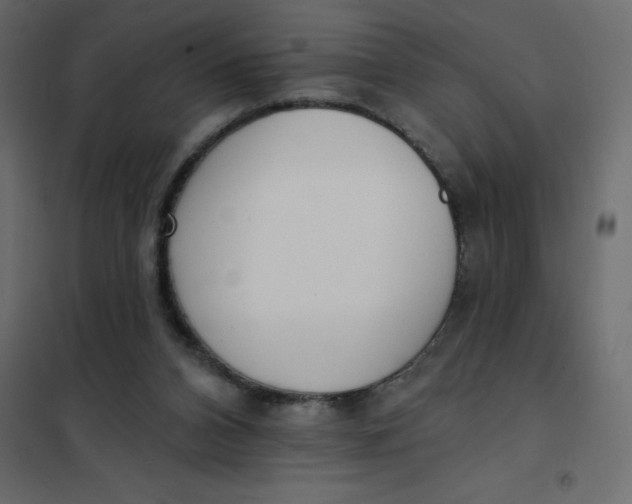 X0000102000112200808081709