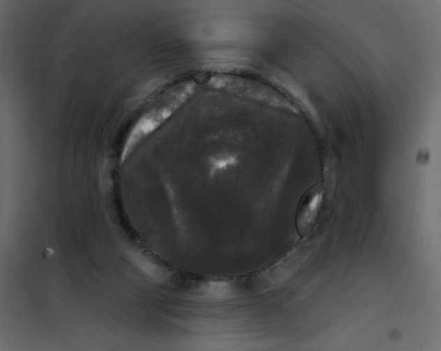 X0000102000114200808081709