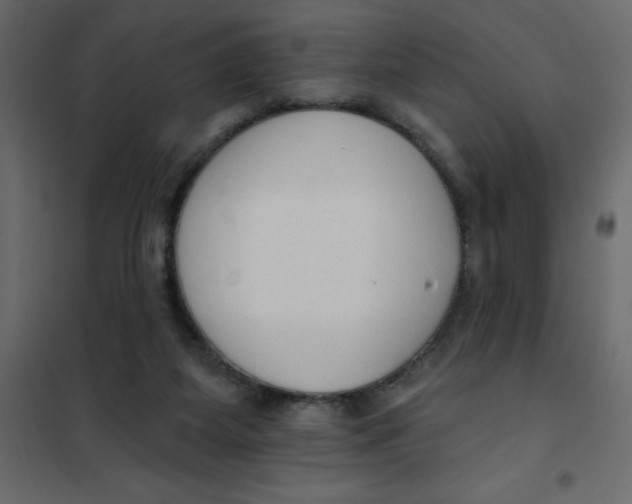 X0000102000115200808081709