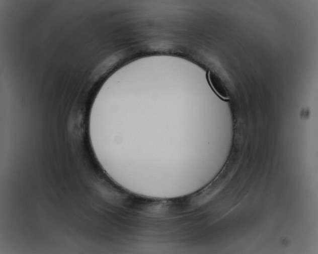 X0000102000116200808081709