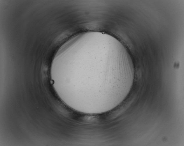 X0000102000117200808081709