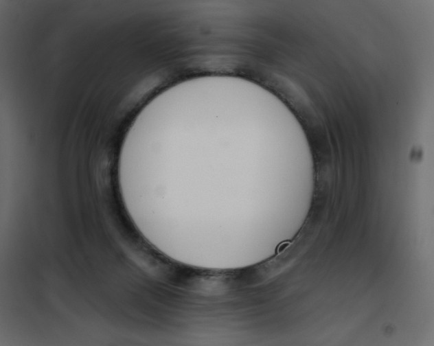 X0000102000120200808081709