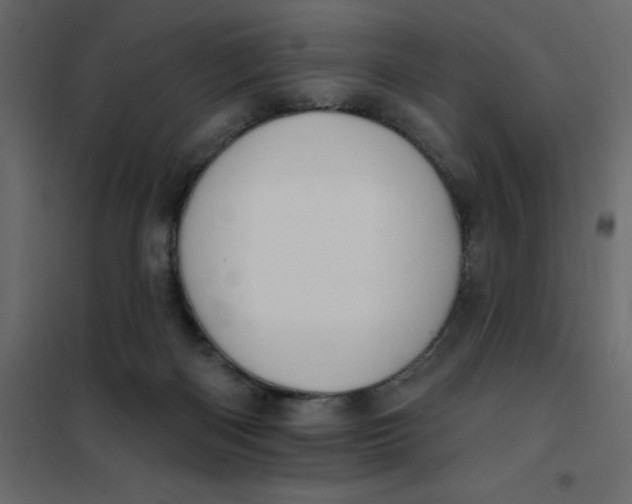 X0000102000122200808081709