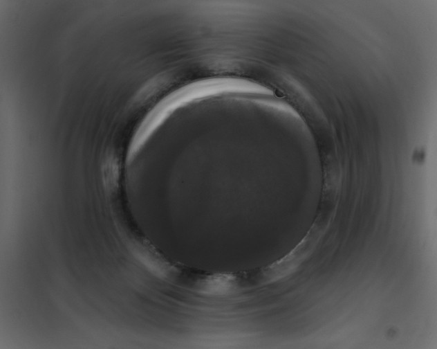 X0000102000124200808081709