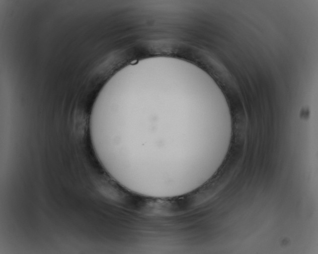 X0000102000125200808081709